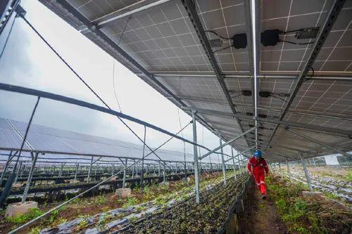 中國十三省最大光伏電站在這里！欽州康熙嶺的光伏電站能排上號了嗎？
